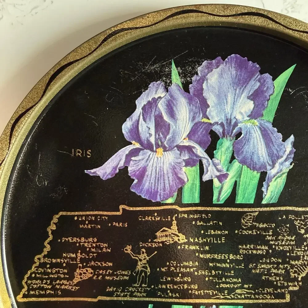 Vintage 1960s Tennessee Souvenir Metal Tray Map Iris Retro